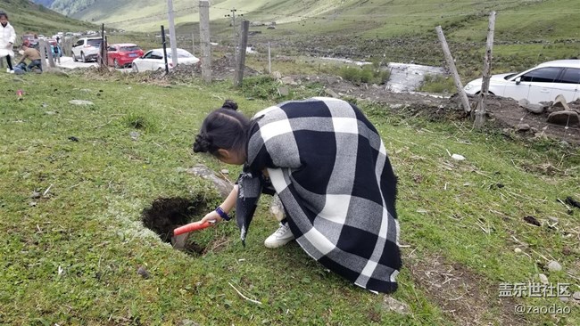 丹巴莫斯卡村的土撥鼠