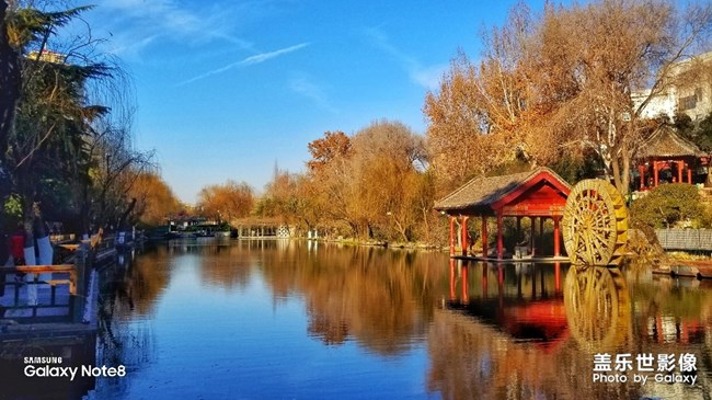 【每周星鮮事】第18期：運(yùn)動(dòng)版塊開幕啦