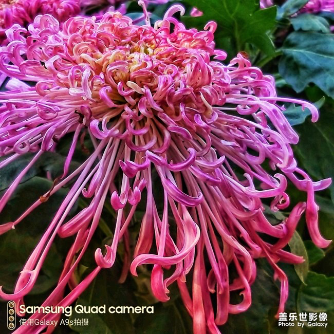 【每周星鮮事】第18期：運(yùn)動(dòng)版塊開幕啦