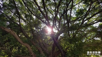 周末愉快