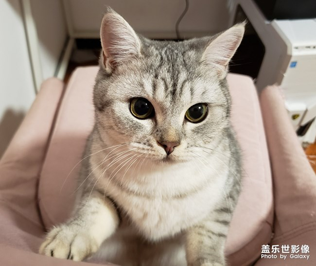 【每周星鮮事】第18期：運(yùn)動(dòng)版塊開幕啦