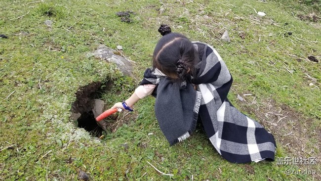 丹巴莫斯卡村的土撥鼠