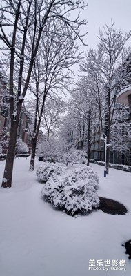 北京的雪