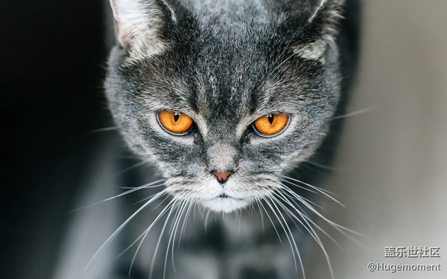 第一期，分享一些高清壁紙