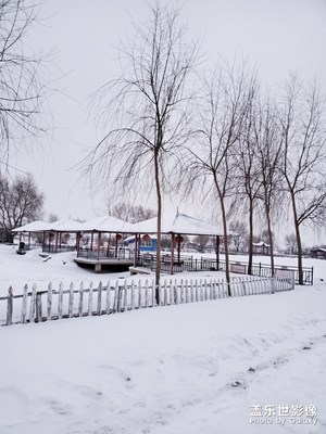 雪景