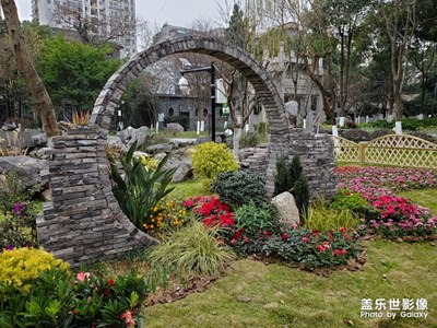 墨池新像！