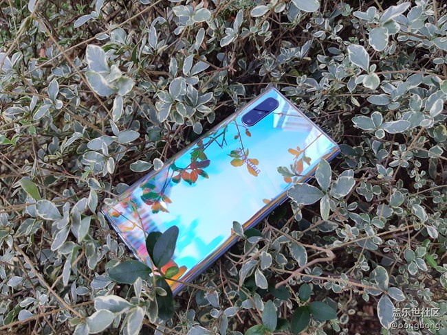 當(dāng)莫奈彩遇上抖肩舞……？