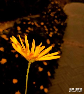 昏暗