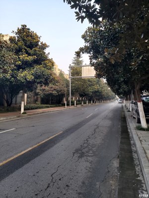 【大街小巷】+難得的晴天