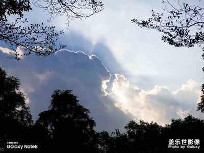 仰望蒼穹