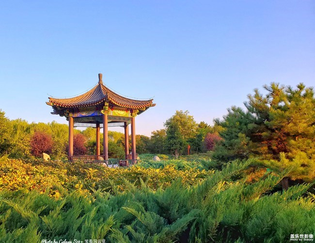 【每周星鮮事】第19期：一大波新春活動(dòng)來(lái)襲