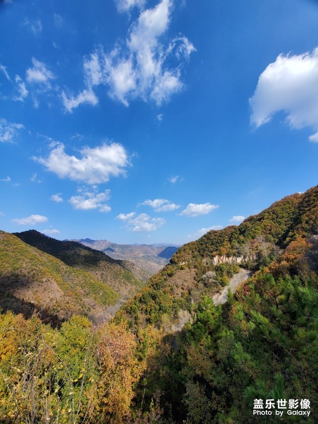 【每周星鮮事】第19期：一大波新春活動(dòng)來(lái)襲