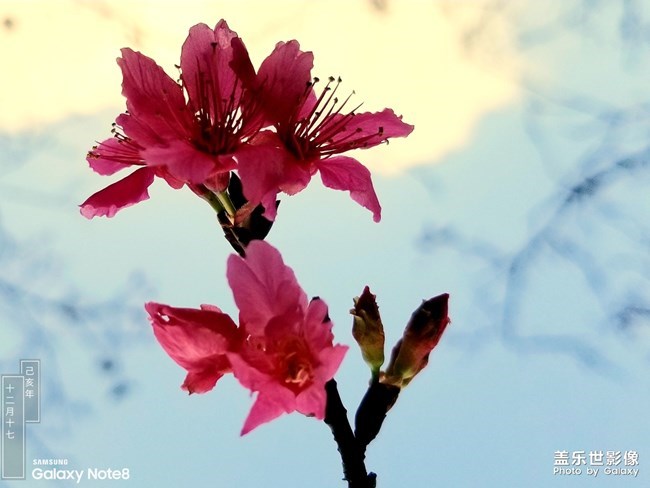 【每周星鮮事】第19期：一大波新春活動(dòng)來(lái)襲