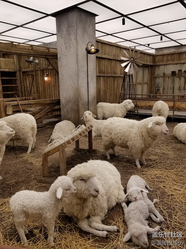 【好食推薦】-開在北京最火網(wǎng)紅商場里的NUDAKE