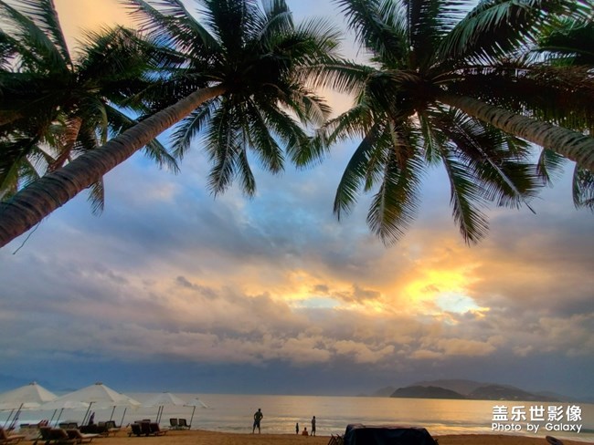 【每周星鮮事】第19期：一大波新春活動(dòng)來(lái)襲