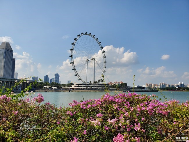 【每周星鮮事】第19期：一大波新春活動(dòng)來(lái)襲