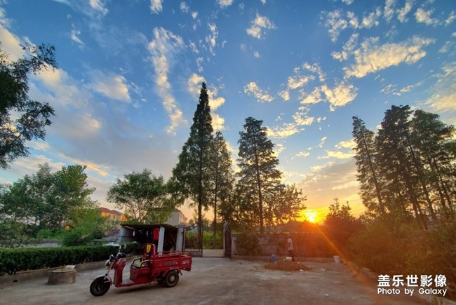 【每周星鮮事】第19期：一大波新春活動(dòng)來(lái)襲