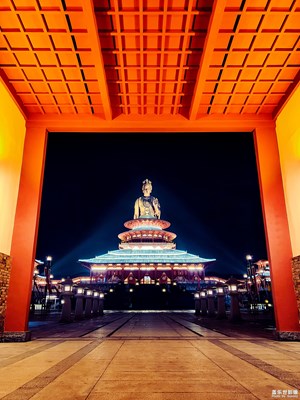 【明亮的夜】+凈光