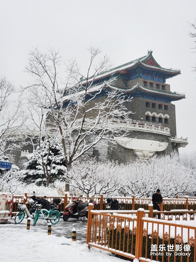 【每周星鮮事】第19期：一大波新春活動(dòng)來(lái)襲