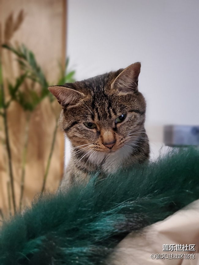 【每周星鮮事】第19期：一大波新春活動(dòng)來(lái)襲