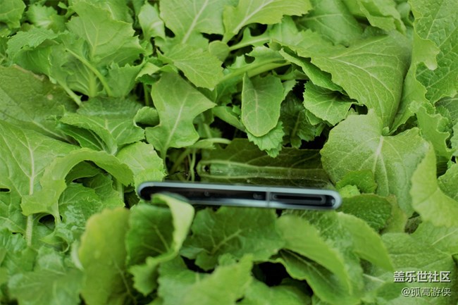 [Note10體驗活動]+外觀篇