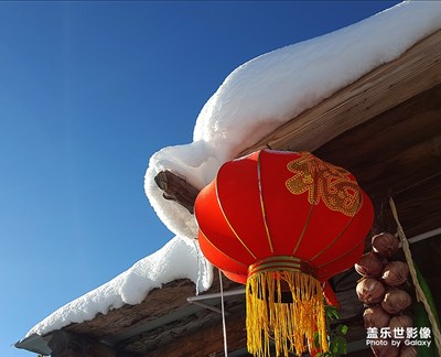 雪中小景