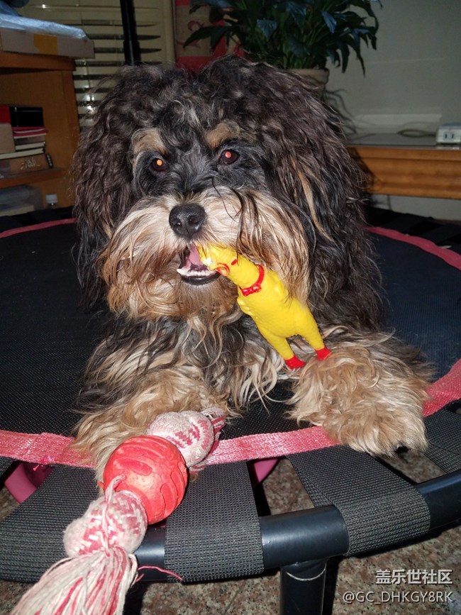 被突然抓拍的七月