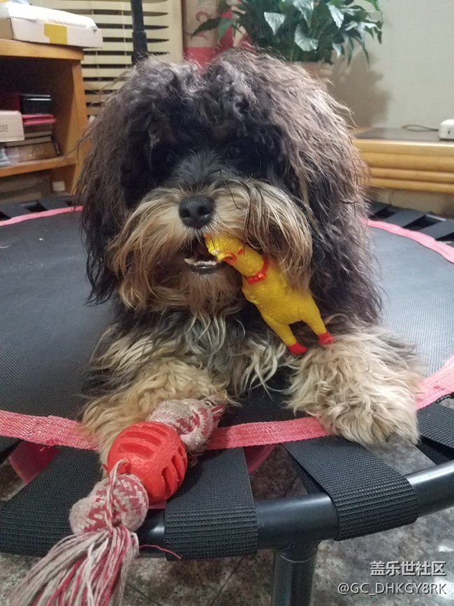 被突然抓拍的七月