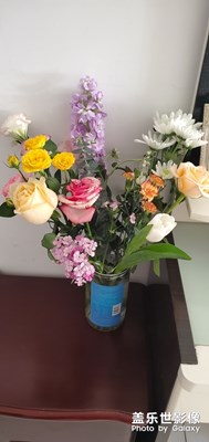 【鼠年吉祥】+祝偉大的祖國(guó)繁榮昌盛