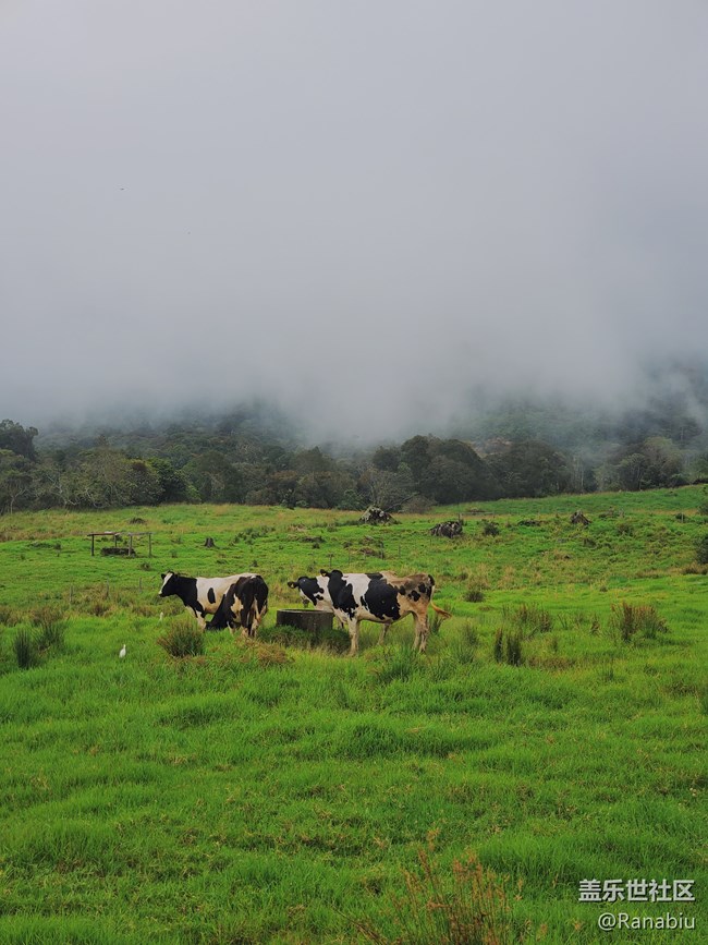 想擁有絕美旅拍？掌握Galaxy Note10 「專業(yè)」拍照功能就夠了