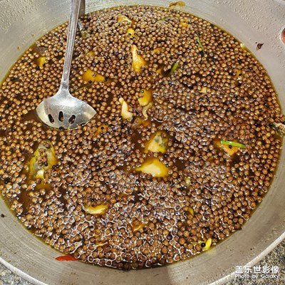川府大麻魚(yú)