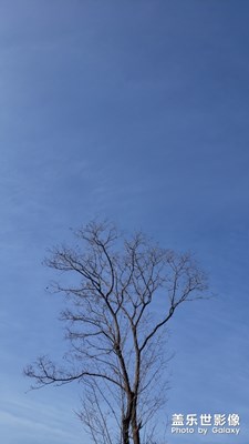 過年，回村兒