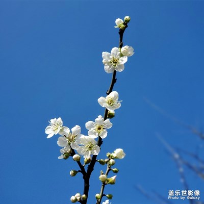 春暖花開