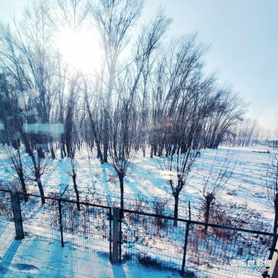 瑞雪兆豐年，遠(yuǎn)離疫情！