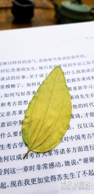 小驚喜