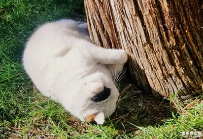 已開獎【蓋樂世影像周賽第127期】——我的生活