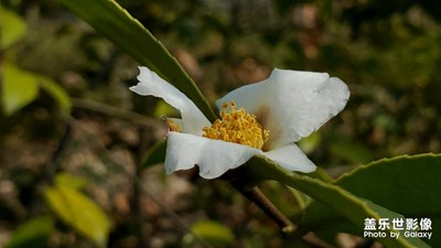 封路，去山上呆著