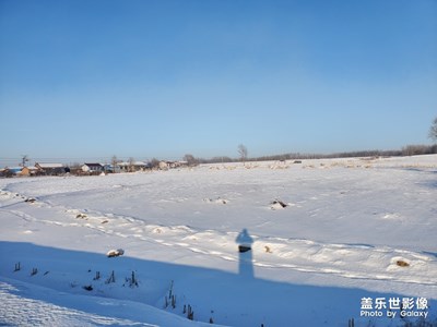 【鼠年吉祥】+以往不同的年，武漢加油