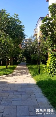 小區(qū)的夏與冬