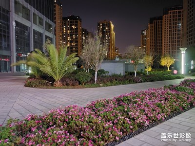 隨拍幾張
