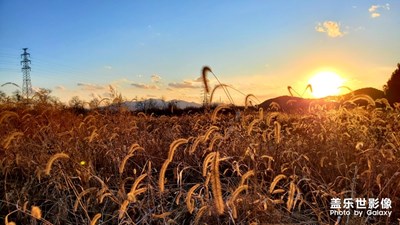 村子封了，但景色還在