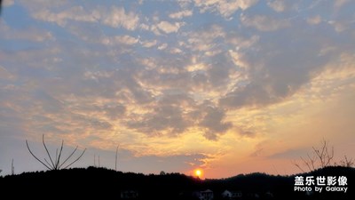 勝日尋芳泗水濱，無(wú)邊光景一時(shí)新