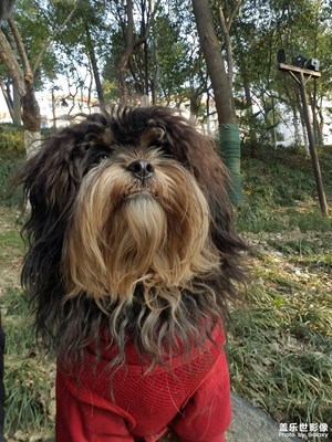 【我的生活】+思考中的七月