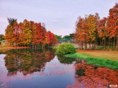 【我的生活】+我的業(yè)余愛好