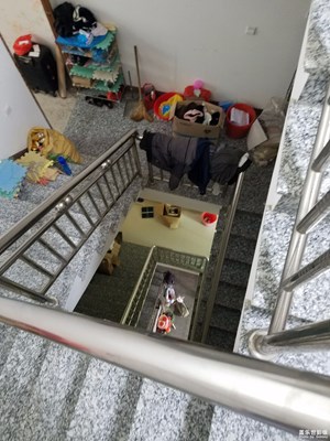 【鼠年吉祥】+在家的日子