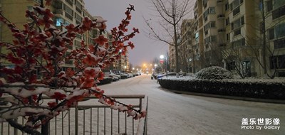 隨手拍---雪