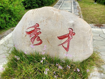 【身邊的景色】+狀元村隨拍