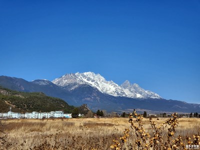 疫情之前的游玩