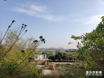 鄉(xiāng)村。