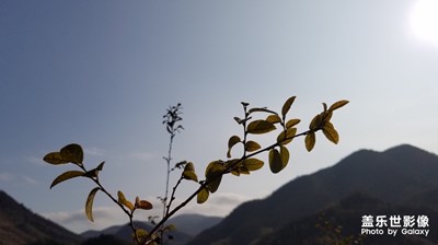 宅家太無聊了，出去爬爬坡出出汗